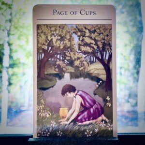 The tarot card The Page of Cups