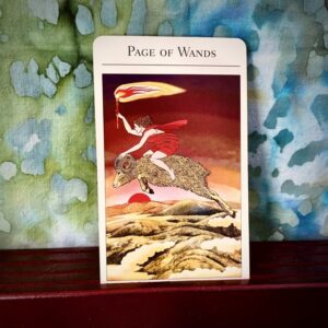 The tarot card the Page of Wands