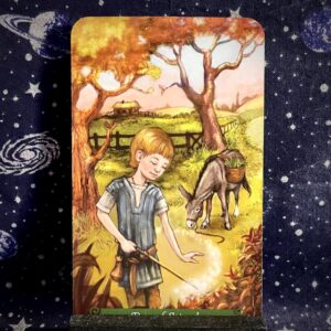 The tarot card the Page of Wands